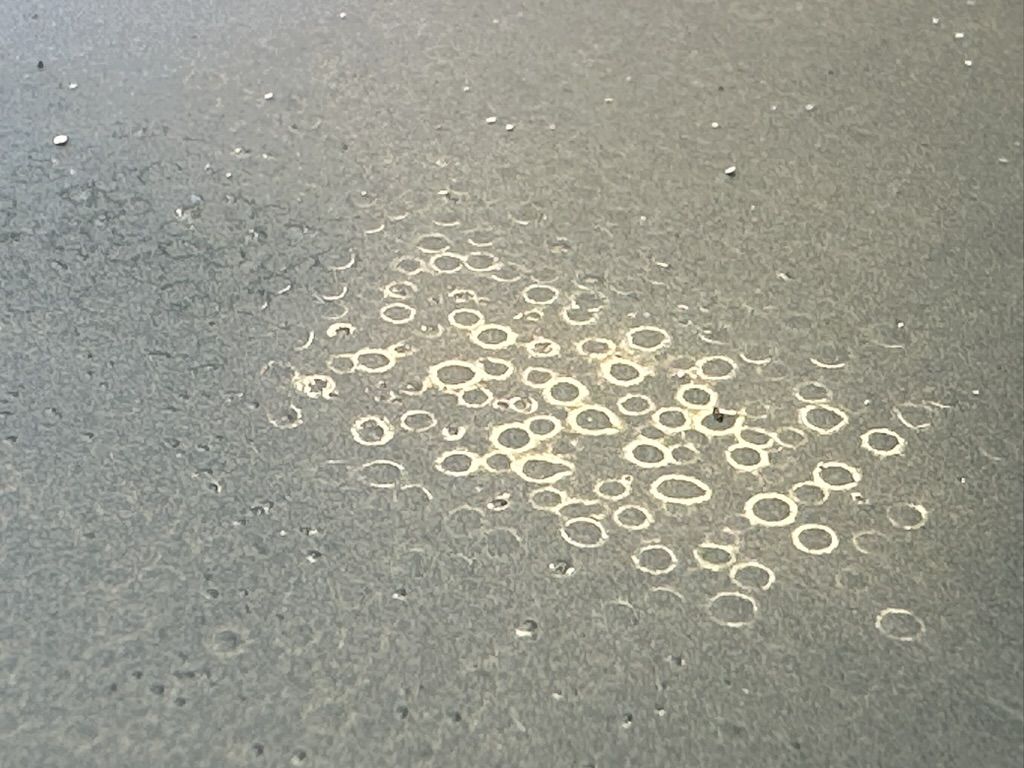 Close-up of ring-shaped water-spot etching in the old 280Z paint