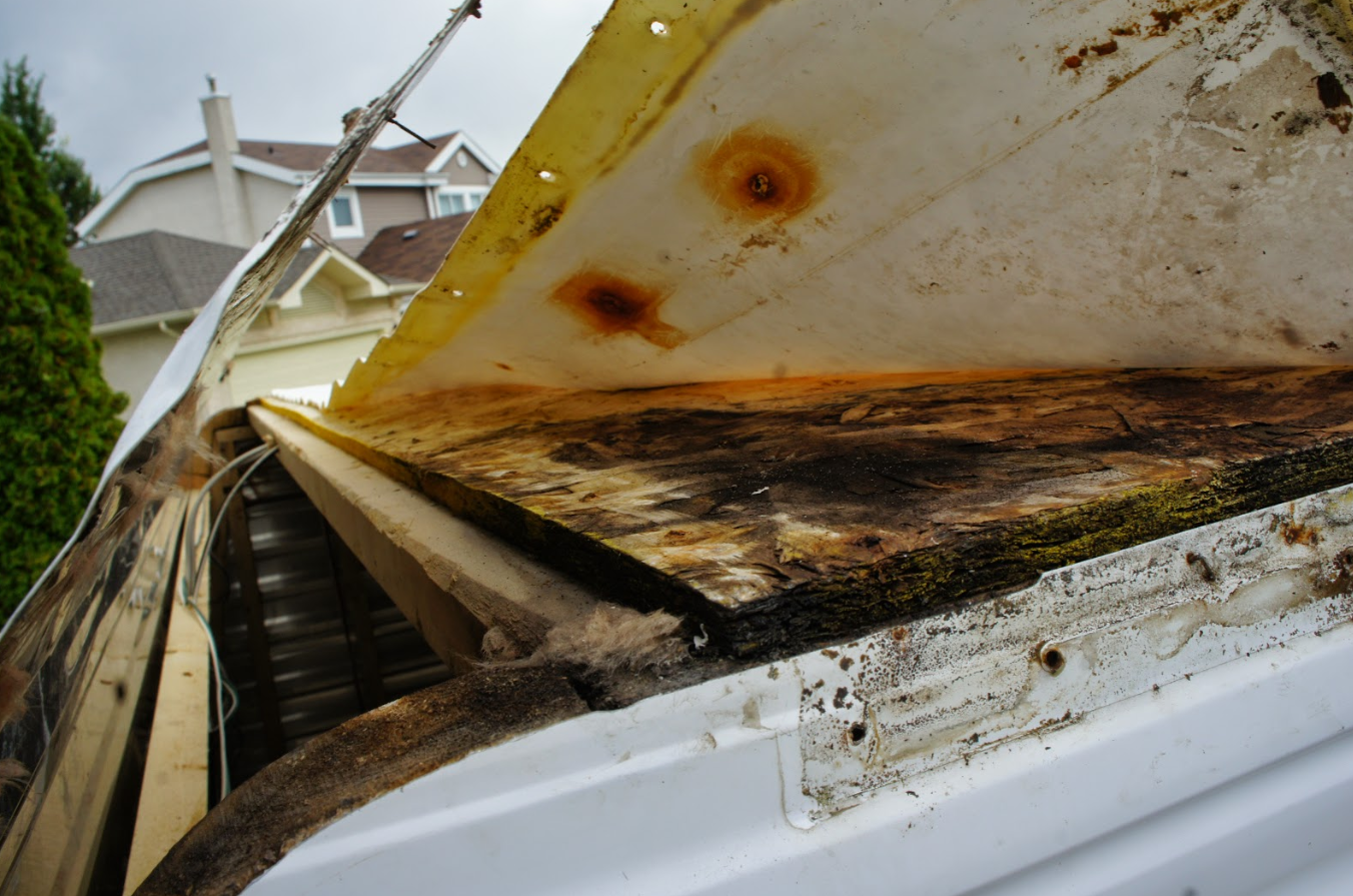 Repair Rotted RV Roof